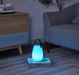 Dalia Speaker Lantern