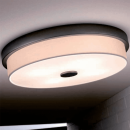 Raphael White Flush Mount (Option: Round)