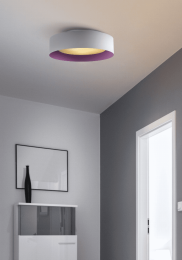Lynch Flush Mount Ceiling Light (Color: White/Purple)