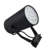 LED Track Light