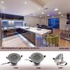 LED Ceiling Down Light Silver